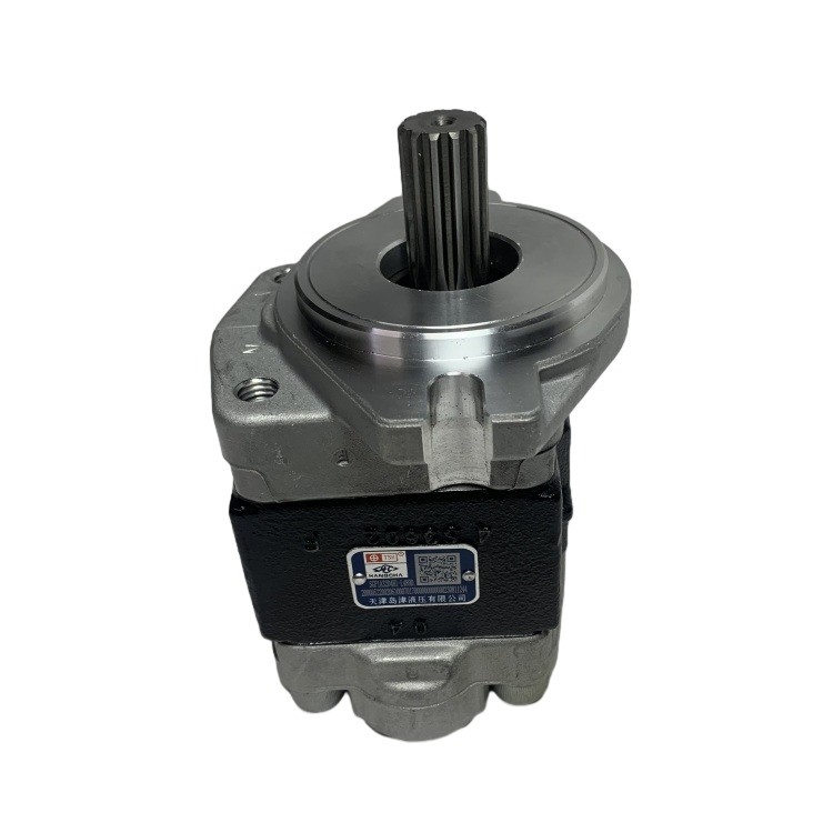 গ্যারান্টিযুক্ত ইস্পাত গিয়ার পাম্প SGP1A32D4H1-1489D R305-601100-000 CPCD30 ফর্কলিফ্টের জন্য