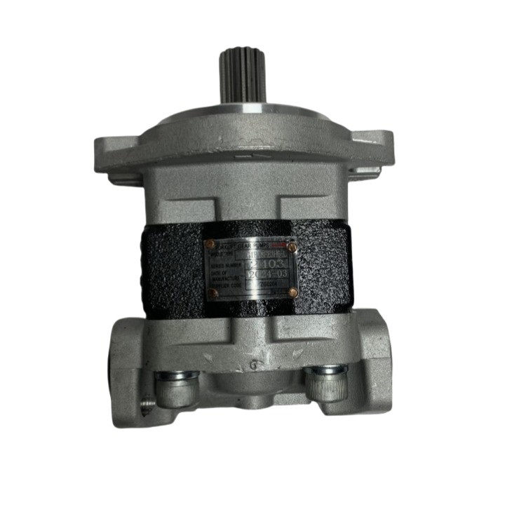 TMG1B18FE3H5-L গিয়ার পাম্প CPC80-100 ফর্কলিফ্টের জন্য ওজন কেজি 4.5 এবং দীর্ঘ জীবনকাল